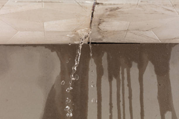 Professional Water Damage Inspection technician working in Estes Park, CO